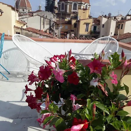 بيت ضيافة The Dream Terrace - Lea Blue *