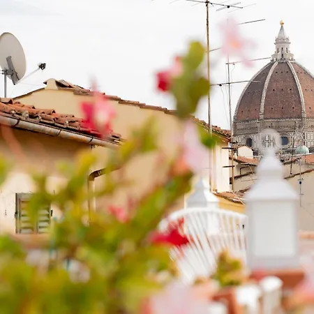 Pensión The Dream Terrace - Lea Blue Florencia