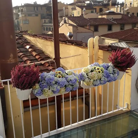 Pensión The Dream Terrace - Lea Blue Florencia